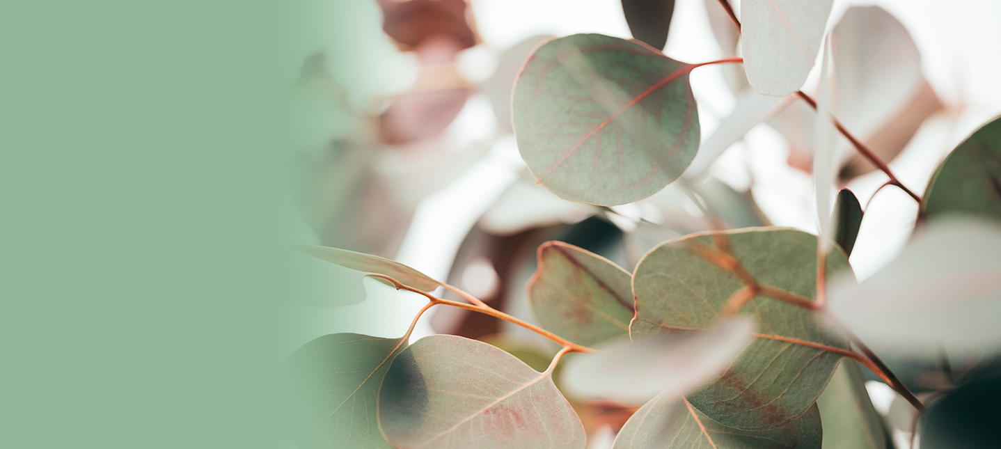 Season's Greetings from CheckUP